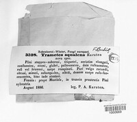 Image Associated With the Occurence